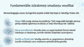 Prezentācija 'Kā ikdienas mācīšanās paradumi stiprina neiroplastiskumu', 11.