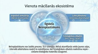 Prezentācija 'Kā ikdienas mācīšanās paradumi stiprina neiroplastiskumu', 12.
