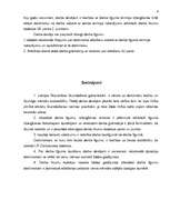 Referāts 'Darba līgums', 9.