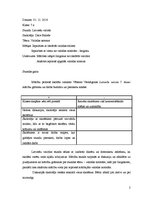 Prakses atskaite 'Vērošanas prakse latviešu valodā un literatūrā 7.klasē', 2.