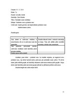 Prakses atskaite 'Vērošanas prakse latviešu valodā un literatūrā 7.klasē', 13.