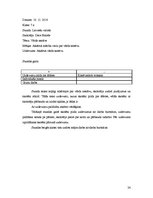 Prakses atskaite 'Vērošanas prakse latviešu valodā un literatūrā 7.klasē', 24.