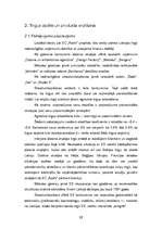 Biznesa plāns 'Estētikas centrs "Asahi"', 17.