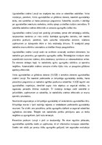 Eseja 'Ugunsdrošības sistēma Latvijā', 2.