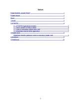 Prakses atskaite 'Prakse biedrībā "Avantis"', 2.