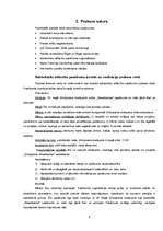 Prakses atskaite 'Prakse biedrībā "Avantis"', 8.