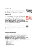 Konspekts 'Zarnu mikroflora', 3.