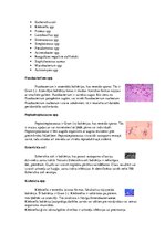 Konspekts 'Zarnu mikroflora', 4.