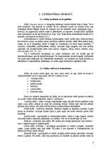 Referāts 'Salāti', 5.