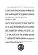 Biznesa plāns 'Kaņepju audzēšana Latvijā', 28.