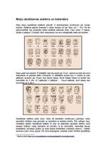 Konspekts 'Maiju skaitīšanas sistēma un kalendārs', 1.