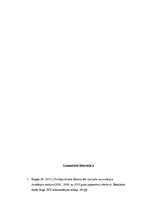 Referāts 'Latvijas Republikas Nacionālo bruņoto spēku dalība starptautiskajās misijās un t', 9.