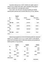 Referāts 'Laika un dzimtes kategoriju salīdzinošā analīze latviešu un krievu valodās', 17.