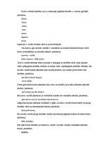 Referāts 'Laika un dzimtes kategoriju salīdzinošā analīze latviešu un krievu valodās', 21.