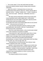 Referāts 'Laika un dzimtes kategoriju salīdzinošā analīze latviešu un krievu valodās', 30.