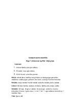 Konspekts 'Sporta konspekts pirmsskolā', 1.