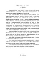 Referāts 'V.Šekspīrs "Romeo un Džuljeta"', 1.