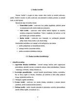 Referāts 'Kredītu klasifikācija', 4.