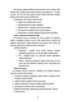 Referāts 'Kredītu klasifikācija', 10.