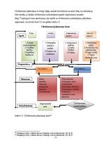Diplomdarbs 'Personālvadības analīze un iespējas uzņēmumā', 21.