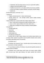 Diplomdarbs 'Personālvadības analīze un iespējas uzņēmumā', 24.