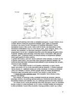Referāts 'Pasaules attīstības globālās problēmas. Pārapdzīvotība, pārtikas trūkums', 9.