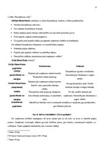 Konspekts 'Uzņēmuma finansēšanas avoti, peļņa un rentabilitāte', 6.