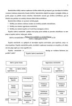 Konspekts 'Uzņēmuma finansēšanas avoti, peļņa un rentabilitāte', 7.