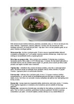 Referāts 'Zāļu iedarbība uz cilvēku organismu', 9.