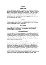 Prezentācija 'Sikhisms', 9.