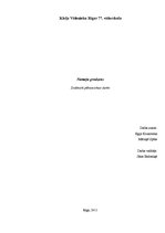 Referāts 'Nameja gredzens', 1.