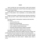 Referāts 'Nameja gredzens', 5.