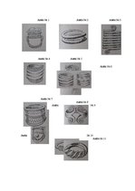 Referāts 'Nameja gredzens', 30.