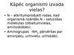 Prezentācija 'Urinīzvadoragānu sistēma', 3.