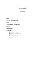 Paraugs 'konkurss metenēm "Spicās meitenes"', 1.