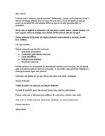 Paraugs 'konkurss metenēm "Spicās meitenes"', 2.