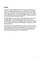 Referāts 'Tutanhamona noslēpums', 2.