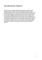 Referāts 'Tutanhamona noslēpums', 5.