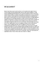 Referāts 'Tutanhamona noslēpums', 7.