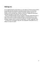 Referāts 'Tutanhamona noslēpums', 12.