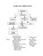 Konspekts 'Latvijas valsts pārvaldes forma', 1.