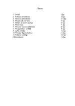 Referāts 'Nacisma pirmsākumi', 13.