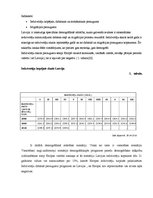 Referāts 'Inovācijas sociālajā darbā', 7.