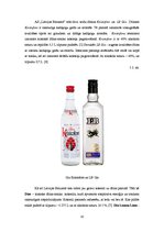 Referāts 'Džins', 10.