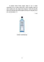 Referāts 'Džins', 12.