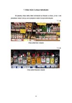 Referāts 'Džins', 13.