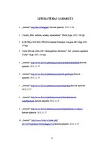 Referāts 'Džins', 17.