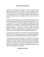 Referāts 'Bezvadu tīkli', 9.