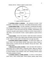 Referāts 'Personālvadība', 33.