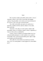 Referāts 'Kā pielietot grāmatvedības zināšanas savā profesijā (uzņēmējdarbībā) kā vadītājs', 3.